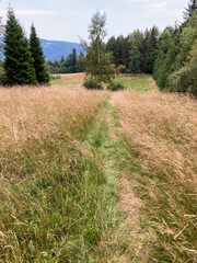 Malnik Beskid Sądecki, zachód słońca, jesień. © Maciej G. Szling