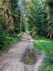 Malnik Beskid Sądecki, zachód słońca, jesień. © Maciej G. Szling