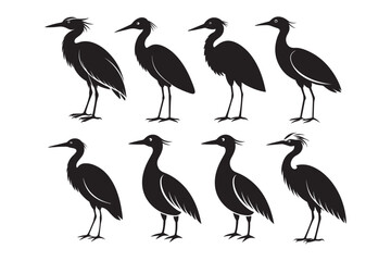 Cattle Egret Silhouette Vector Illustration, Cattle Egret Silhouette Bundle 