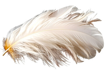 Obraz premium Detailed angel wing feather floating gently on a transparent background 