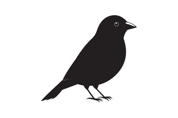 Obraz premium Scarlet Tanager silhouette bundle , Scarlet Tanager silhouette vector illustration