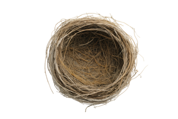A detailed view of an empty bird's nest crafted from twigs and grass, resting on a white background during daylight hours
