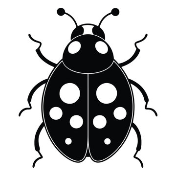 recommend clip art: Solid color Ladybug animal vector design