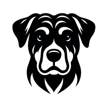 Black Dog Head