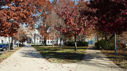 The beautiful Wshington DC city view in autumn
