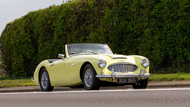 1958, yellow, AUSTIN HEALEY