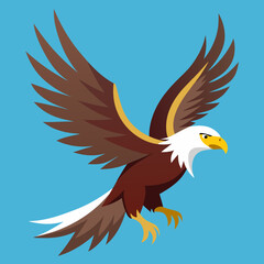 bald eagle in flight