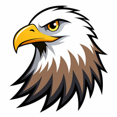 bald eagle illustration