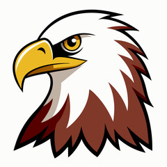 Obraz premium american bald eagle head