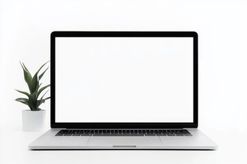 A modern workspace featuring a sleek laptop and a small potted plant, creating a calm atmosphere perfect for productivity