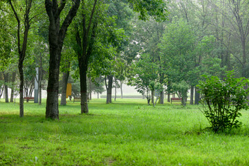 Urban parks, green spaces, forests, and wooden chairs for rest, creating a beautiful natural environment