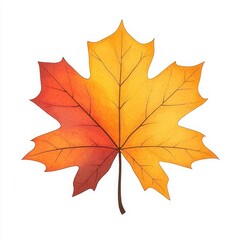 Fototapeta premium Autumn Maple Leaves in Orange, Red, and Yellow: Seasonal Design Elements for Thanksgiving or Halloween Borders and Backgrounds