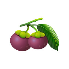 The whole purple color king of fruit and a Mangostreen with green leaves