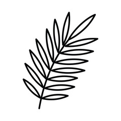 Palm leaf icon. Giant frond with leaves. Part of agricultural tropical plant in minimalistic style. Botanical illustration for a label, store, layout. Editable icon, thin stroke