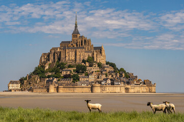 View to Mont-Saint-Michel Island, with some sheeps at the coastline