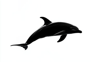 Fototapeta premium A powerful silhouette of a dolphin leaping through the air, symbolizing freedom, speed, grace, ocean life, and marine wildlife.
