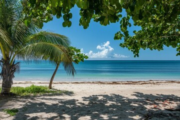 Obraz premium A serene tropical beach with lush palm trees framing a picturesque view of the turquoise ocean and white sandy shore.
