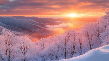 Serene winter landscape at sunrise with frosted trees and mountains.