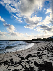 Sandy beach with cloudy blue sky.