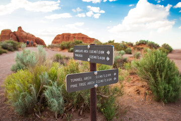 Obraz premium Directional Signage to Landscape Arch in Utah