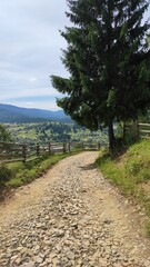 A peaceful gravel path winding through lush green hills on a cloudy day, surrounded by trees and farmlands