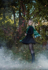 Wizard school, student in the magical autumn atmosphere, green and silver colors . Halloween time,...