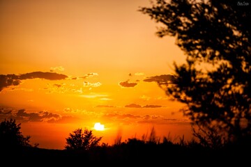 sunset, sky, sun, clouds, nature, tree
