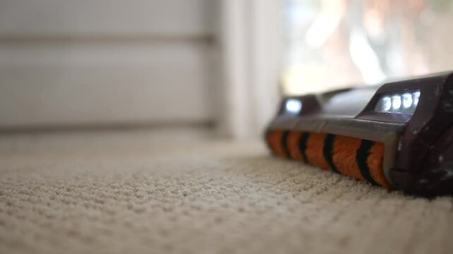 Carpet Clean Series - Vaccuum Cleaner picks up dead bug on neutral carpet