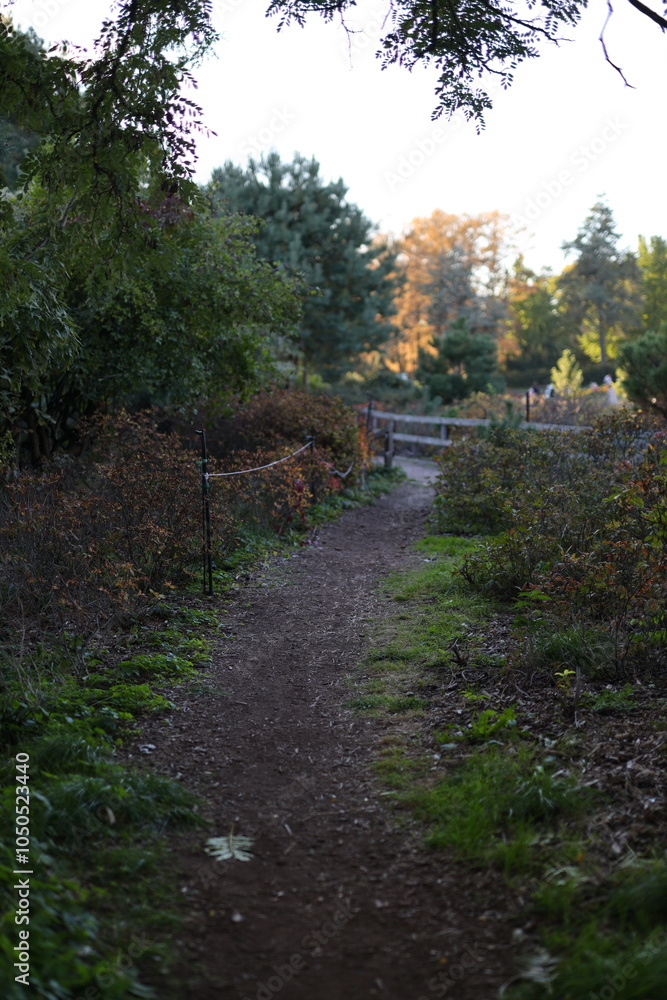 Aufkleber a path through a forest with a fence on the right side. the path is surrounded by trees and bushes