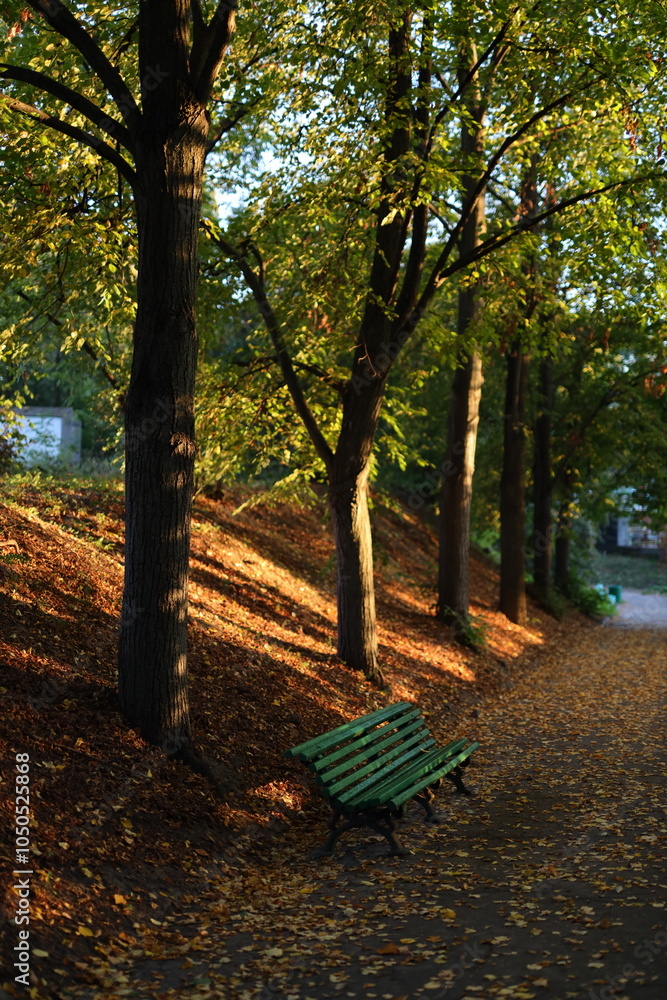 Poster a bench is sitting on a path in a park. the bench is green and is surrounded by trees. the leaves on