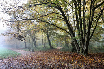 Fototapeta premium Relaxing