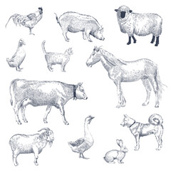 A big set of livestock and pets. Farm animals. Vector illustration in line style
