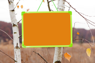 frame for text. seasonal. Chalkboard and autumn leaves. natural background. the sign weighs on the tree. empty space for text. light, bright green frame, orange background. close-up