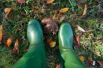 Herbstlaub Gummistiefel
