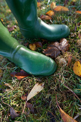 Herbstlaub Gummistiefel