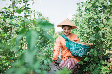 A farmer is joyfully collecting fresh produce in a colorful and vibrant garden today