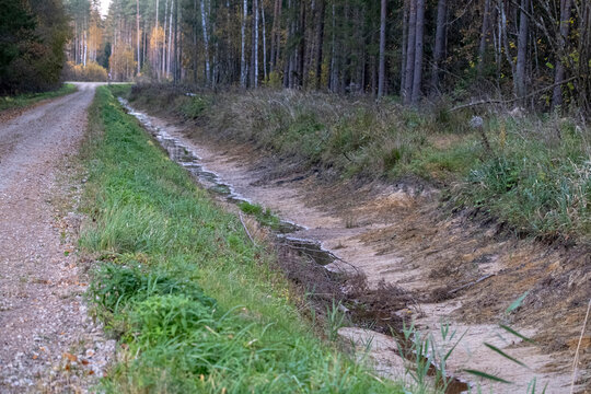 Forest road in Latvia in autumn season. Fresh ditch with sand and little water