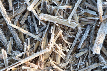 A CloseUp View of Frosted Straw or Hay Textures, Showcasing Their Intricate Details