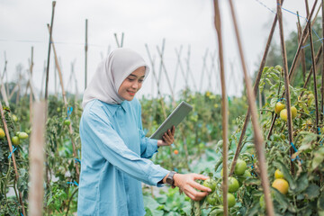 A young woman is carefully inspecting various citrus fruits while standing in a lush orchard