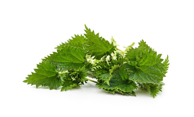Leaves green nettle.