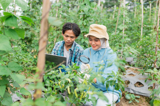 Farmers use smart farming techniques in a vibrant green field, highlighting agricultural innovation