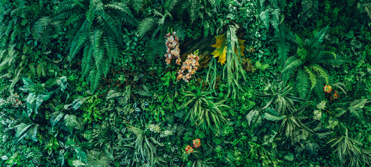 Close up group of background tropical green leaves texture and abstract background. Tropical leaf nature concept.
