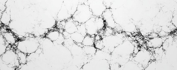 Fototapeta premium Abstract representation of neural networks or cellular structures in a monochromatic design.