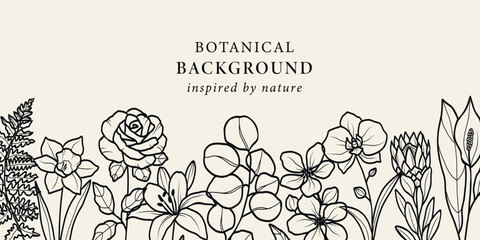 Line art botanical background. Lily, orchid, daffodil, eucalyptus, apple blossom, spathiphyllum, protea, fern, rose illustration