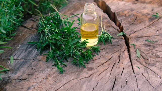 Thyme extract in a bottle. Selective focus.