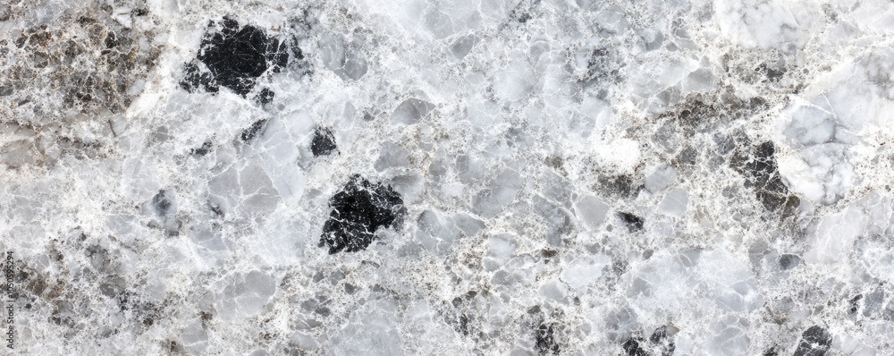 Poster a close-up view of a textured stone surface with a mix of gray and black patterns.