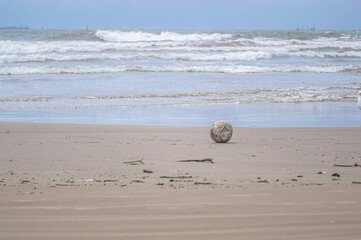 soccer ball placed on the soft sand of a beach, with the vast ocean stretching out in the background. The worn appearance of the ball adds a sense of history