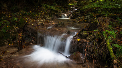 waterfall in the forest