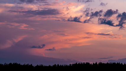 Real majestic sunrise sundown sky background with gentle colorful clouds without birds over forest.