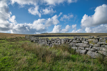 Great Staple Tor Dartmoor Nationalpark Devon